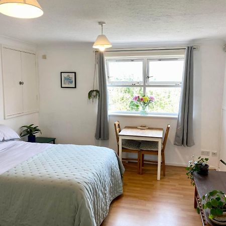Bright And Comfortable Studio Apartment London Eksteriør billede